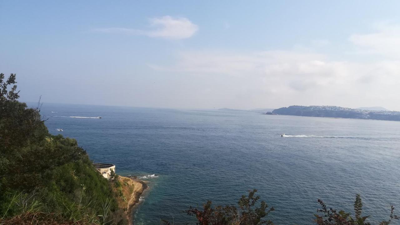 Le Querce Villa Procida Kültér fotó